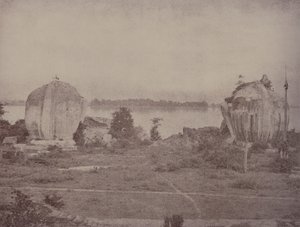 Mengoon: Grifoni in rovina da Linnaeus Tripe