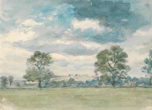 Paesaggio estivo