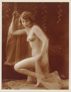 Nudo femminile con velo