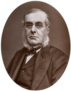 Ammiraglio Sir Richard Collinson, KCB, FRGS, Vice-Maestro di Trinity House, 1877 da Lock and Whitfield