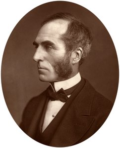 Goldwin Smith, Professore, 1878