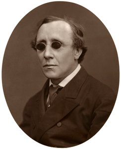 Henry Fawcett, MP, Professore di Economia Politica all