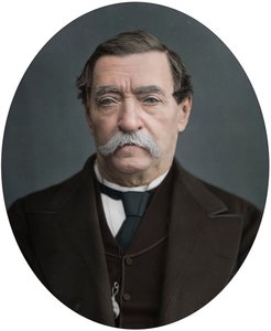 Lord Napier di Magdala, 1878