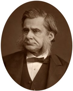 Professor Thomas Henry Huxley, 1880 da Lock and Whitfield