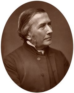 Reverendo Charles John Vaughan, DD, Decano di Llandaff e Maestro del Tempio, 1882 da Lock and Whitfield