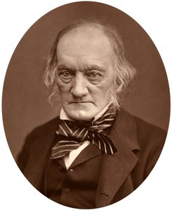 Richard Owen da Lock and Whitfield