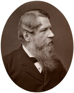 Onorevole Sir Stafford Henry Northcote, Bart, MP, Cancelliere dello Scacchiere, 1877 da Lock and Whitfield