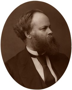 Samuel Plimsoll, Esq, MP, politico liberale britannico e riformatore sociale da Lock and Whitfield