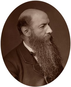 Sir Wilfrid Lawson, politico, MP per Carlisle, 1882 da Lock and Whitfield