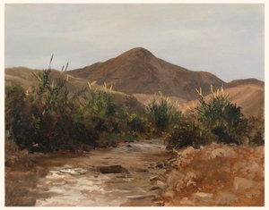 Disegno, vicino a Gerico, Wady Kilt, 20 marzo 1876