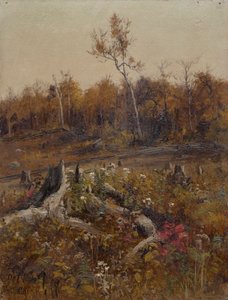Paesaggio da Lockwood de Forest