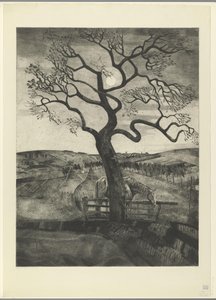 Cavallo in un prato vicino a Etikhove da Lodewijk Schelfhout (signed by artist)