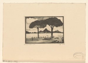 Due alberi