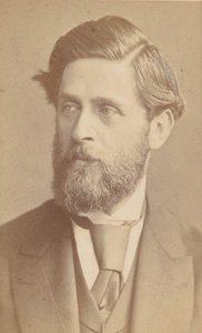 Ludwig Johann Passini, dopo 1867