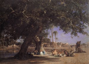 Vista su Shubra