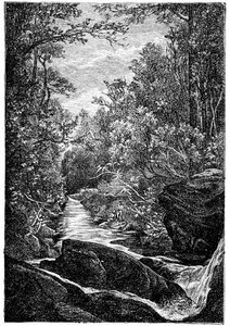 Ruscello di montagna con rocce e cascata nel mezzo di una foresta. Disegno di Leon Benett inciso da Meaulle per l