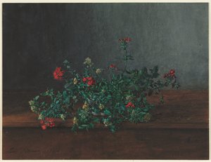 Natura Morta con Fiori di Campo da Léon Bonvin