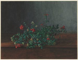 Natura Morta con Fiori Selvatici da Léon Bonvin