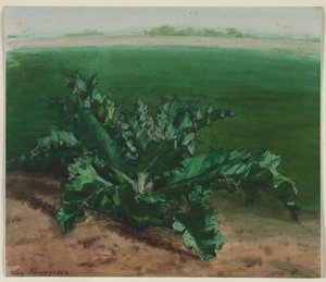 Studio di una Pianta, Possibilmente Cardo da Léon Bonvin