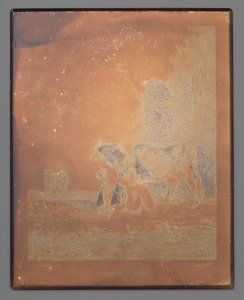 Mucche al pascolo da Léopold Desbrosses