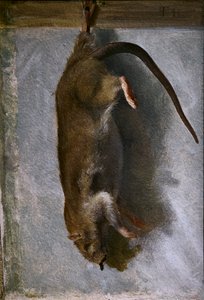 Studio di un ratto morto da Lorens Frolich