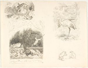 Quattro bozze per illustrazioni per Il rospo, Nuove fiabe e storie di H.C. Andersen
