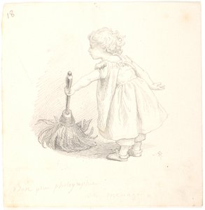 Domesticità