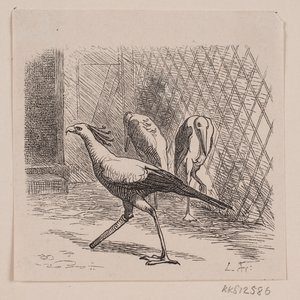 Segretario nel Jardin des Plantes da Lorenz Frølich