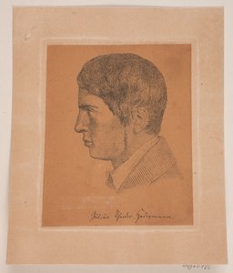 Julius Theodor Hedermann da Lorenz Frølich