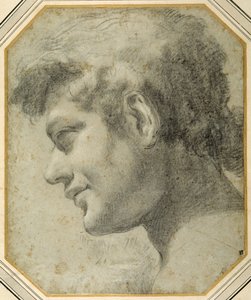 Testa di giovane di profilo, guardando in basso da Lorenzo  Garbieri