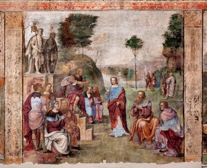 Vita di Santa Cecilia: Processo di Santa Cecilia da Lorenzo Costa