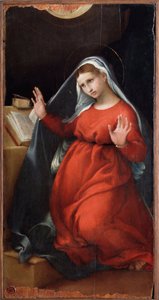 Vergine dell