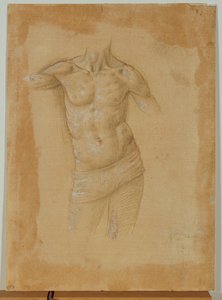 Busto di uomo seminudo, senza testa ... da Lorenzo di Credi