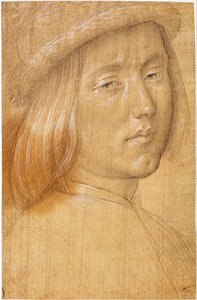 Capo di un gruppo di giovani da Lorenzo di Credi