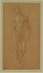 Giovane nudo, a figura intera, che tiene in mano un bastone Pennino d