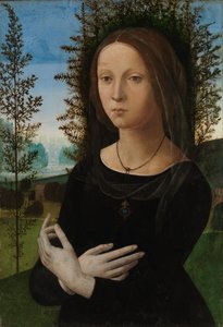 Ritratto di una Giovane Donna