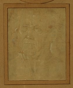 Ritratto di un vecchio ... da Lorenzo di Credi