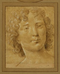 Studio di un uomo con capelli lunghi e ricci ... da Lorenzo di Credi