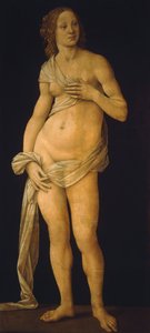 Venere da Lorenzo di Credi