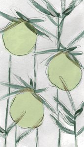 Prodotti botanici freschi e verdi