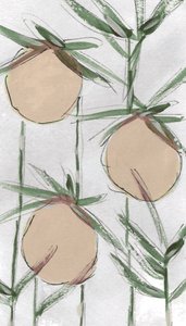 Pesche fresche dipinte da Lori Ann Folz