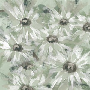 Delicati fiori di salvia da Lori Ann Folz