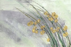 Delicate fioriture gialle