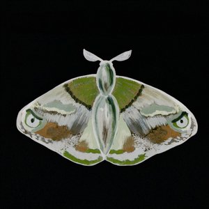 Una falena verde davvero suggestiva da Lori Ann Folz
