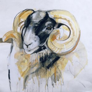Pecora dalle lunghe corna