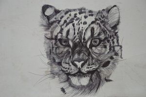Leopardo delle nevi, 2016 da Lou Gibbs