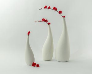 Vasi rossi e fiori