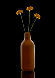 Vaso marrone con fiori dai toni caldi da Louie Luo