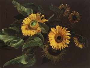 Girasoli, 1839