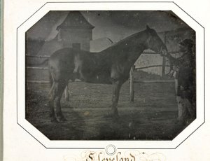 Cleveland, c. 1842-1843